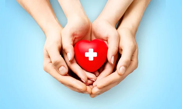 Red Heart in hands — Stock Photo, Image