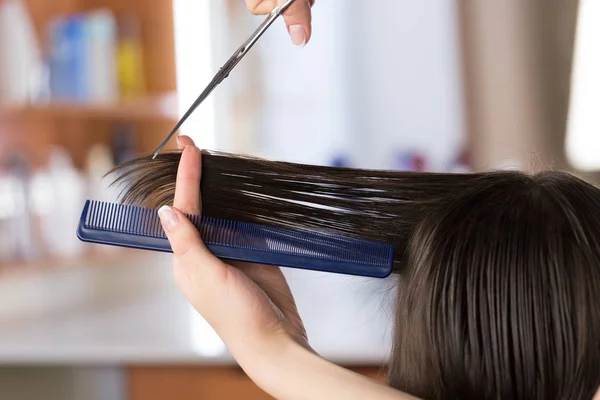 Cabeleireiro fazendo penteado — Fotografia de Stock