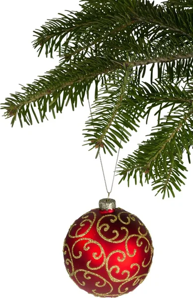 Rood bauble op fir kerstboom — Stockfoto