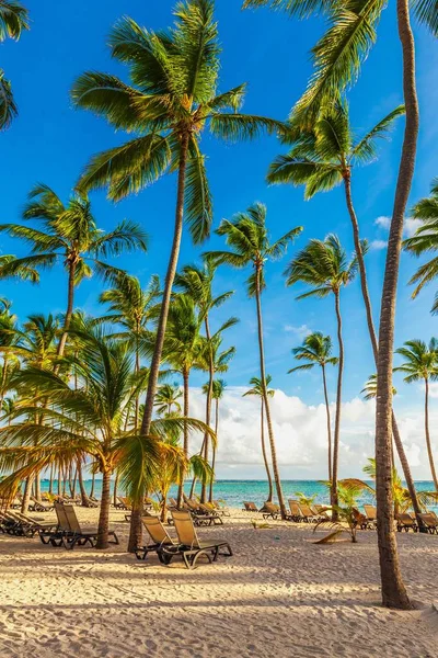 Beautiful tropical sand beach — Stock Photo, Image