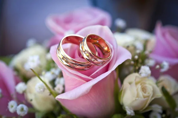 Anillos de compromiso en flor de rosa —  Fotos de Stock