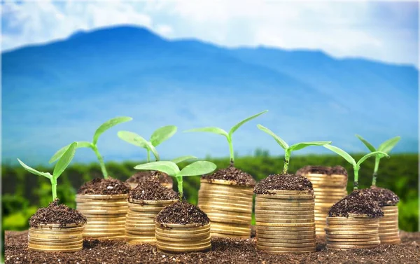 Monedas en suelo con plantas jóvenes —  Fotos de Stock