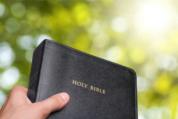 男手举行神圣的圣经 — 图库照片