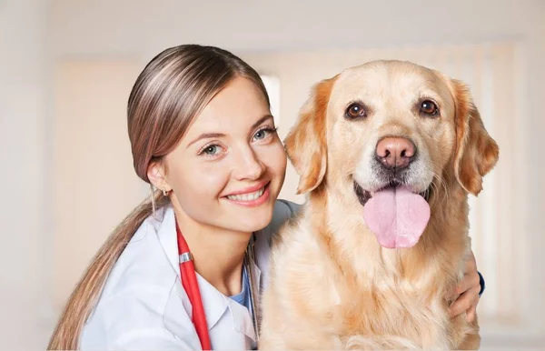 Tatlı köpeği olan genç bir kadın. — Stok fotoğraf