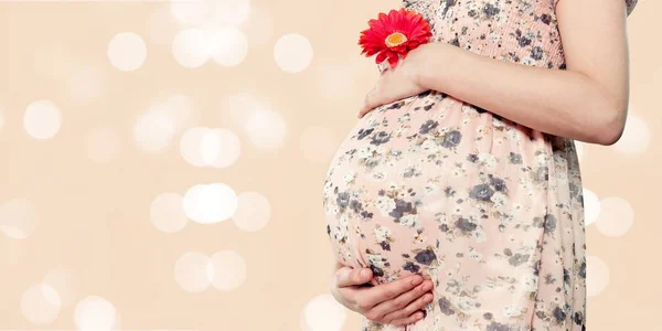 Gravid kvinna i klänning — Stockfoto