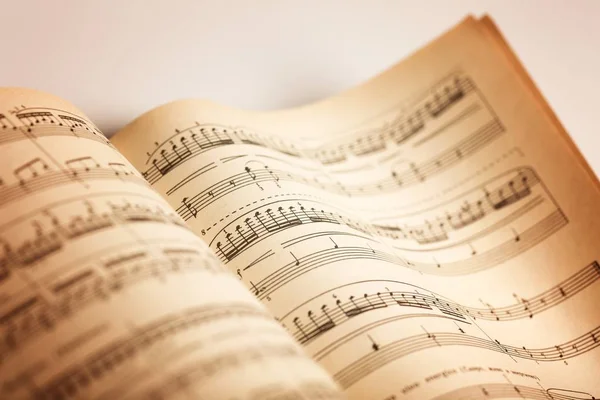 Hojas con notas musicales — Foto de Stock