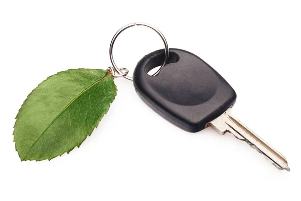 Llave del coche con hoja verde —  Fotos de Stock