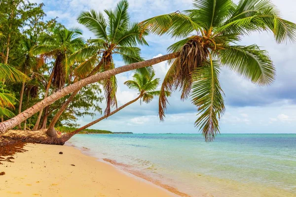 Beautiful tropical sand beach — Stock Photo, Image