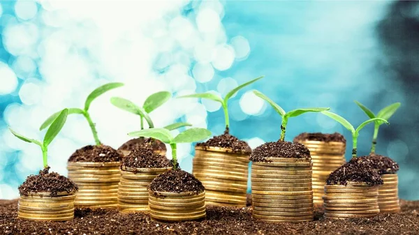 Coins in soil with young plants — Stock Photo, Image