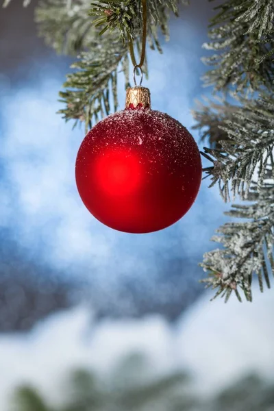 Red bauble on Christmas fir tree — Stock Photo, Image