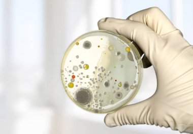 Mikrobiyoloji laboratuvar test bilim adamı elinde