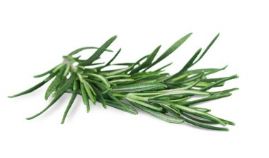 Yeşil fışkın taze biberiye