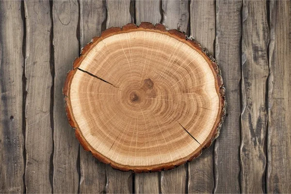 Drewno okrągłe plasterek — Zdjęcie stockowe