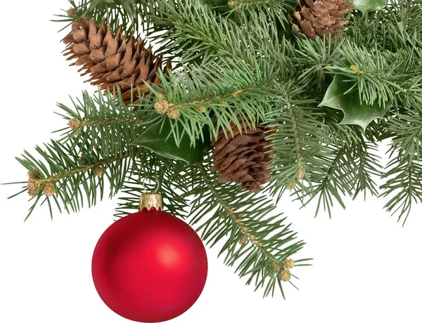 Rood bauble op fir kerstboom — Stockfoto