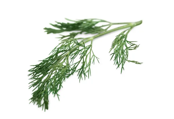 Green fresh dill — Stock Photo, Image