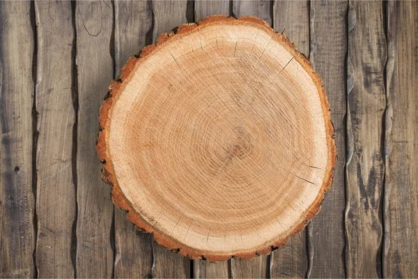 Roung cut of tree — Stock Photo, Image