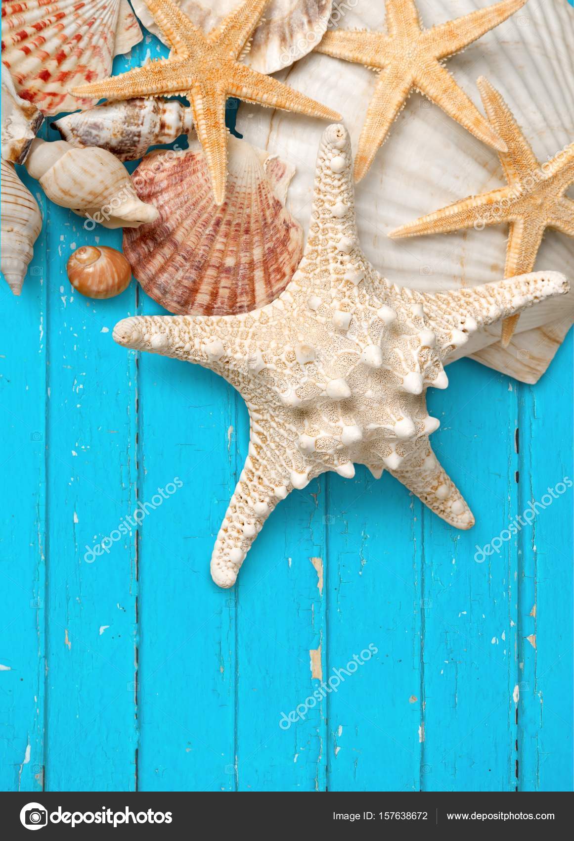 Sea shells and starfish decorations — Stock Photo © billiondigital  #157638672