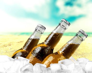 bira buz içinde