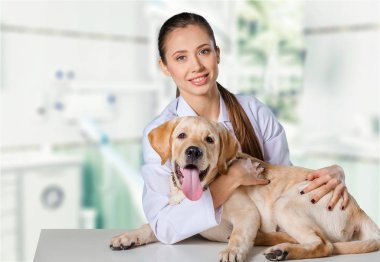  köpek hasta ile kadın doktor