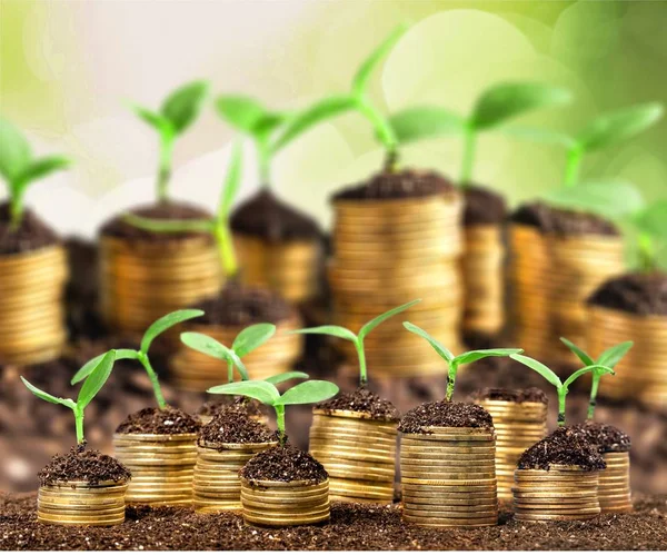Coins in soil with young plants — Stock Photo, Image