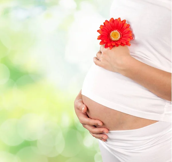 Pregnant woman holding red flower — Stock Photo, Image