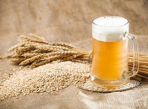 Mug of light beer with pile of wheat — Stock Photo, Image