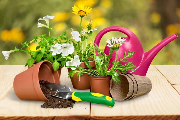 Blumentopf und Gartengeräte — Stockfoto