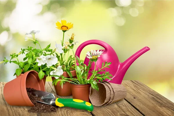Pot de fleurs et ustensiles de jardinage — Photo