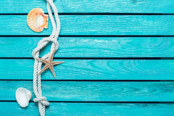 Seashells su sfondo di legno blu — Foto Stock