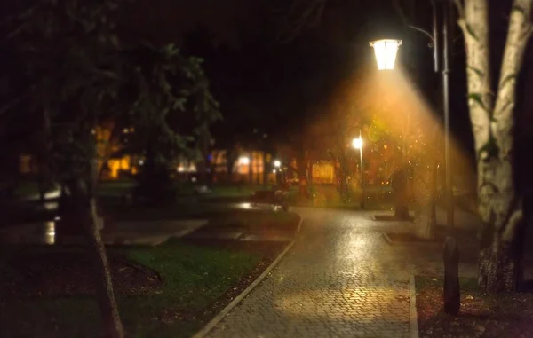 Single Glowing Lamp Post Park — Stock Photo, Image