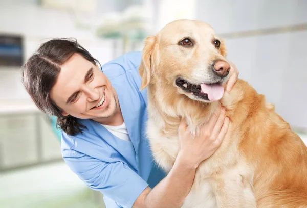 Mężczyzna weterynarza z psem — Zdjęcie stockowe