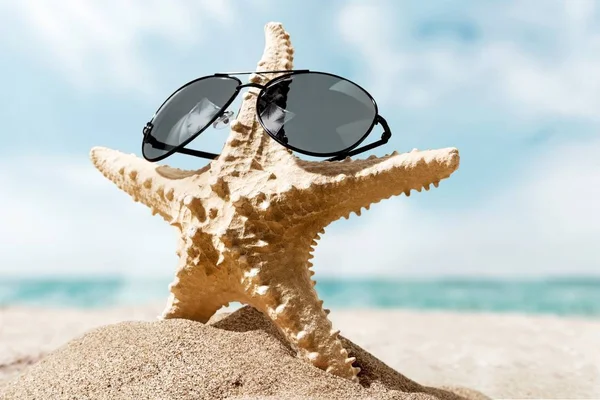 Concha marina con gafas de sol en la costa arenosa . — Foto de Stock
