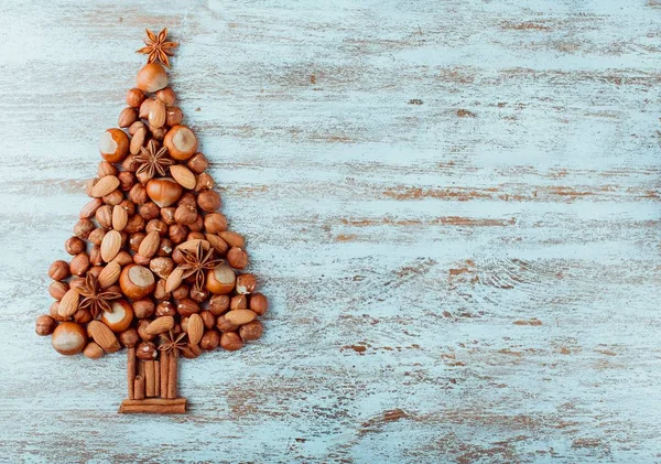 Χριστουγεννιάτικο δέντρο φτιαγμένο από ξηρούς καρπούς — Φωτογραφία Αρχείου