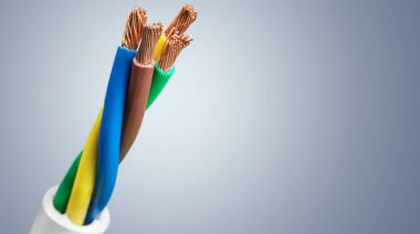 Elektrik ekranlı kablo 