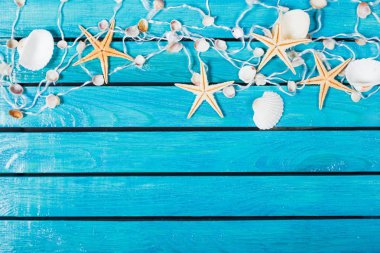 Mavi ahşap zemin üzerinde deniz kabukları 