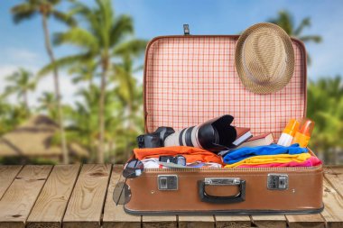 seyahat nesnelerle Retro çanta