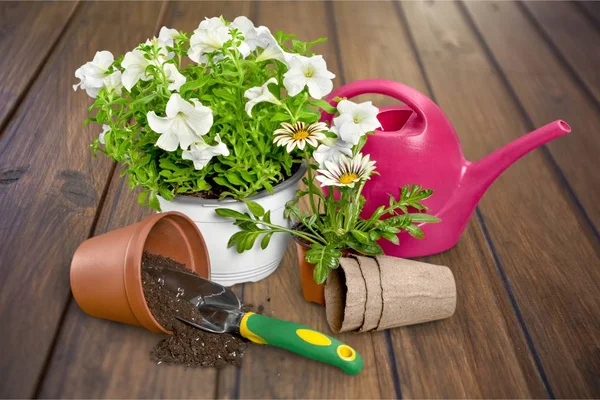 Vaso de flores e utensílios de jardinagem — Fotografia de Stock
