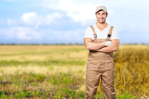 Fiatal, dolgozó ember, a mező — Stock Fotó