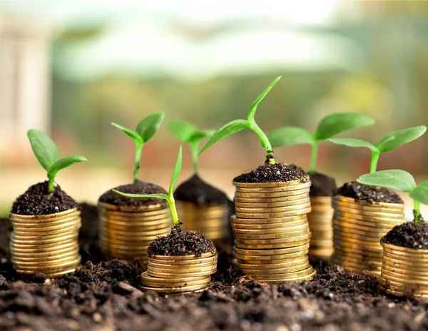 Coins in soil with young plants — Stock Photo, Image