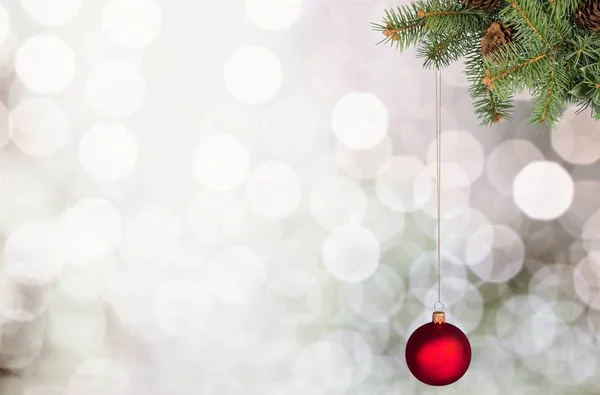 Röd julgranskula på Gran julgran — Stockfoto