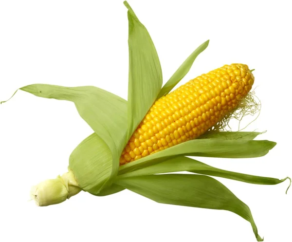 RAW кукурудзи хоб — стокове фото