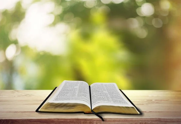 Livro da Bíblia Sagrada — Fotografia de Stock