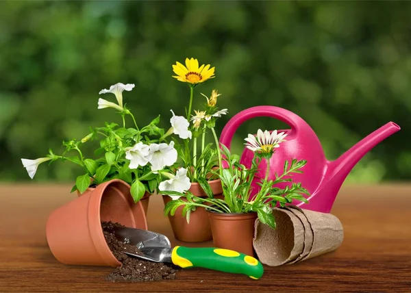 Vaso de flores e utensílios de jardinagem — Fotografia de Stock