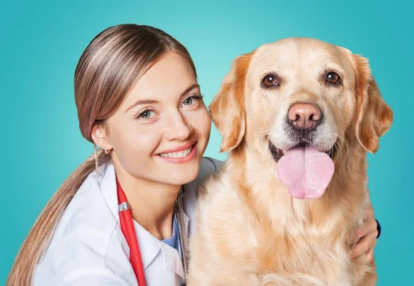 Γυναίκα γιατρός με σκύλο ασθενή — Φωτογραφία Αρχείου