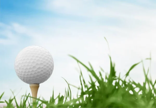 Golf Ball in grass