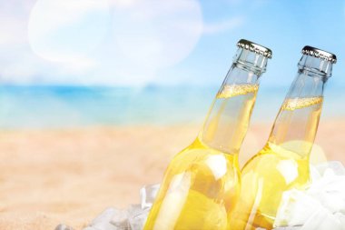 Buzlu bira şişeleri.