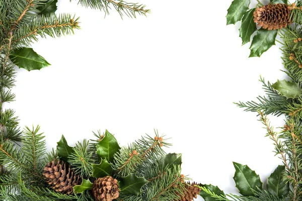 Рождественская композиция с шишками — стоковое фото