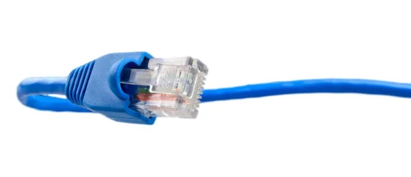 Kabel, netwerk verbinding Plug — Stockfoto