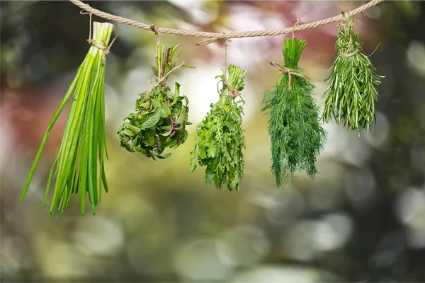 Frische Kräuter hängen — Stockfoto