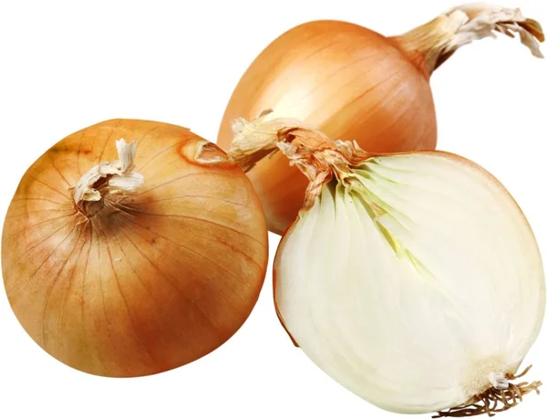 Cut fresh bulbs of onions — Stock Photo, Image